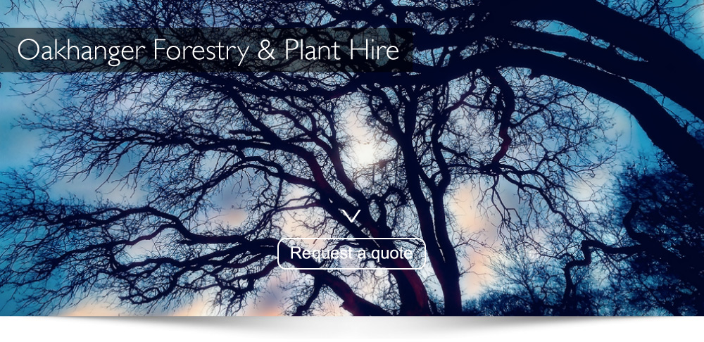 Tree Surgeons Aldershot